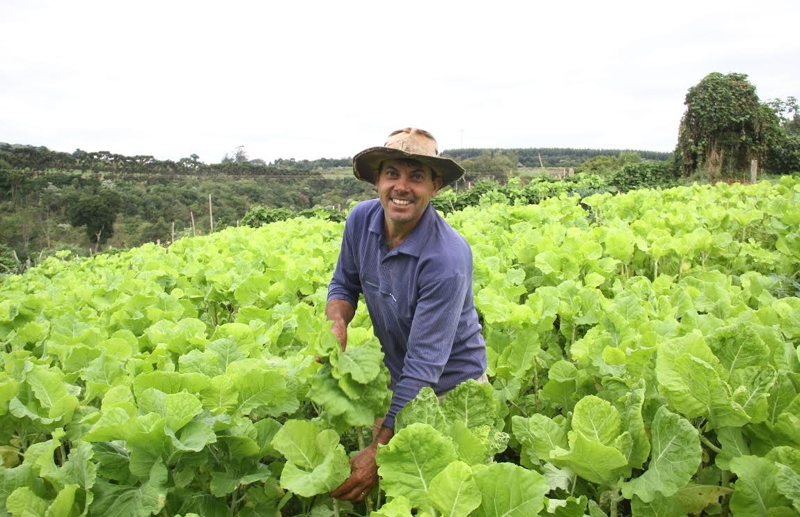 A Cresol tem como perfil o atendimento de agricultores familiares - Foto: Divulgação