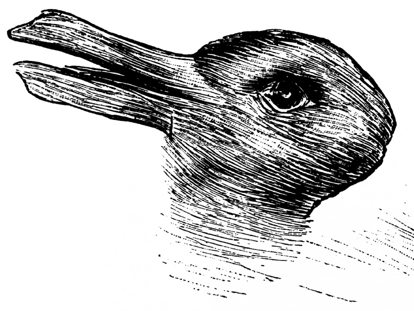O que você vê? Um pato ou um coelho? Fonte: independent.co.uk