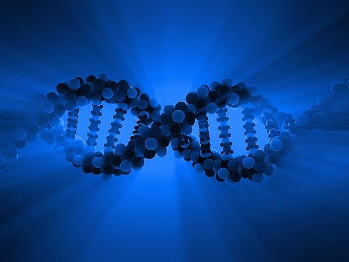 ​​Especialistas estimam que o uso do DNA para guardar informações faria com que estas durassem por 2000 anos ou mais - Foto: Getty Images - imagem ilustrativa