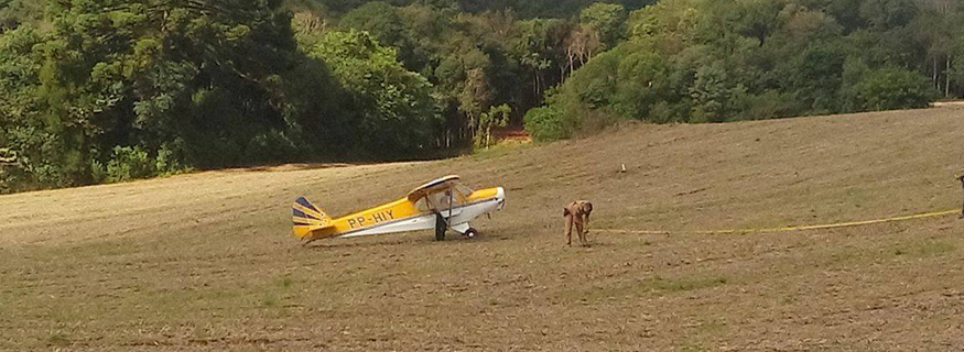 Piloto fez pouso forçado após avião perder hélice - Foto: Quioma dos Santos
