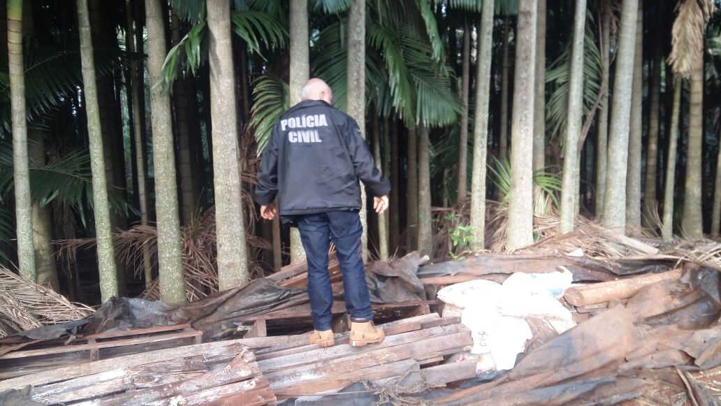Montante foi encontrado  em um matagal no distrito de Pirapó (Foto: Reprodução/WhatsApp)