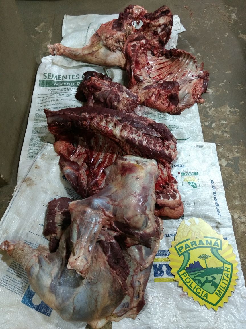 A carne estava dividida em três sacos no compartimento de carga do carro (Foto/Divulgação PM))