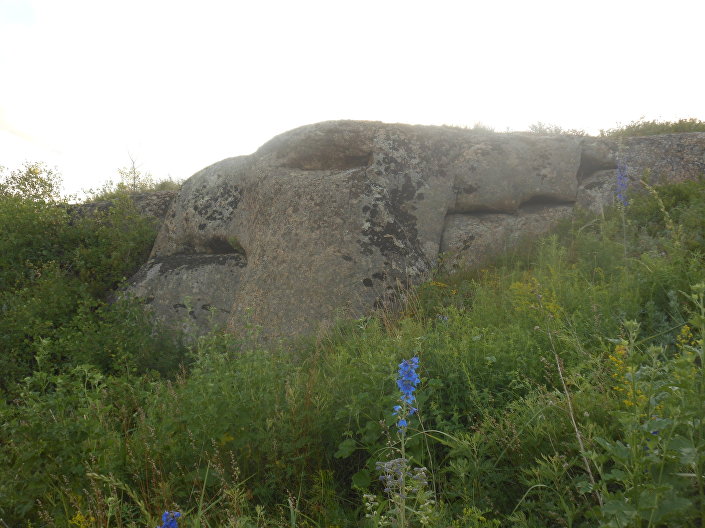 Pedra muito antiga parecida com um grifo foi encontrada nas Montanhas de Altai, na Rússia - Foto - ALEKSANDR PERESYELKOV, RUSLAN PERESYELKO