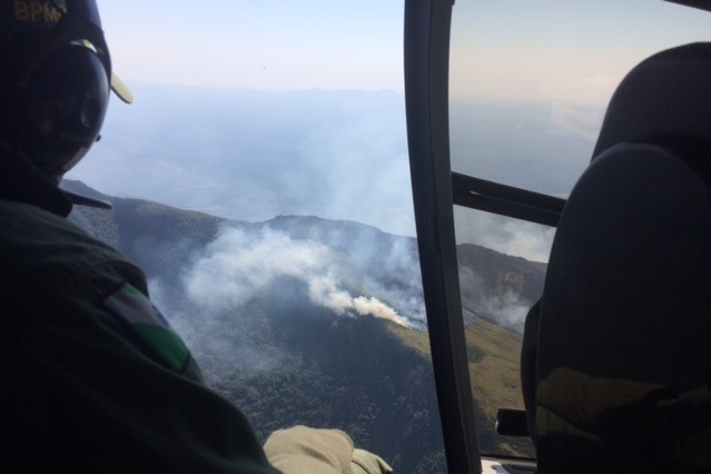 Bombeiros durante combate a incêndio florestal no Morro das Antenas em Campina Grande do Sul - Foto: Divulgação