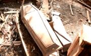 GM Ambiental apura situação de caixões abandonados em terreno; assista