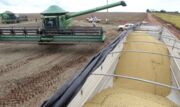 Conab prevê produção recorde de grãos na safra 2020/21