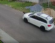 Motorista que atropelou cão em rua no Paraná é identificada