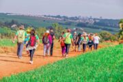 Apucarana promove Caminhada da Primavera em setembro