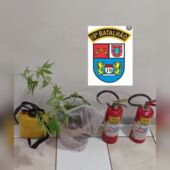 Os objetos furtados e a planta foram apreendidos