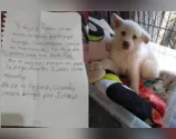 Garoto deixa filhote em abrigo para salvar cão de maus-tratos do pai