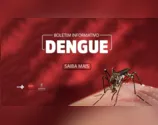 Arapongas confirma 2.013 casos e dois óbitos pela Dengue