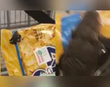 À imprensa, ela disponibilizou as imagens do animal saindo do pacote