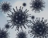 O País também registrou 393 novas mortes pelo coronavírus nas últimas 24 horas