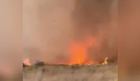 Incêndio florestal mobiliza bombeiros desde o início da semana