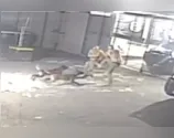 Policiais de tropa de elite brigam e acabam atacados por cães; vídeo