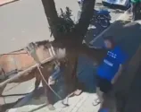 Câmera de segurança flagrou mordida de burro em vereador