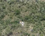 Avião cai em área de vegetação e provoca a morte de três pessoas