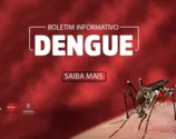 Boletim Epidemiológico registra 2.440 casos de dengue em Arapongas