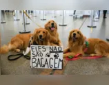 Após morte de Joca, tutores se manifestam no aeroporto de Brasília