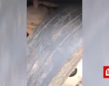 Vídeo mostra pneu 'careca' de ônibus escolar que tombou em Apucarana