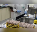 Ortigueira confirma primeiro caso de coronavírus