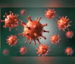 Arapongas registra mais 13 casos de coronavírus