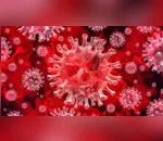 Apucarana registra a 11ª morte por coronavírus