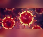 Vale do Ivaí registra mais 8 casos de coronavírus