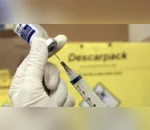 Apucarana recebe vacina pentavalente na próxima semana