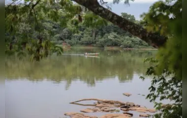 Pesca está liberada nas bacias do estado do Paraná