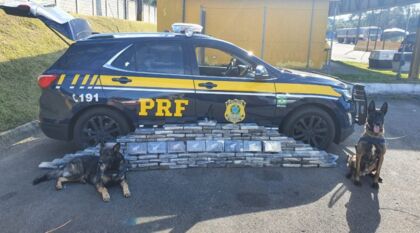 Com o auxílio de cães farejadores PRF apreende quase 200 quilos de cocaína
