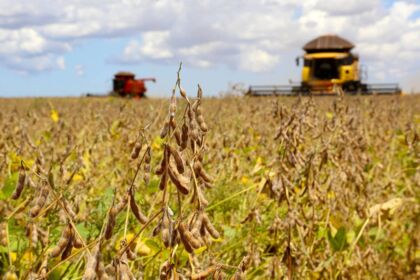 Paraná vai colher mais de 41 milhões de toneladas de grãos