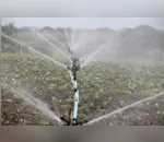 Implantação de sistema híbrido para irrigação é um marco para o agronegócio