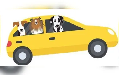 Bênção de Animais drive thru será realizada em Apucarana