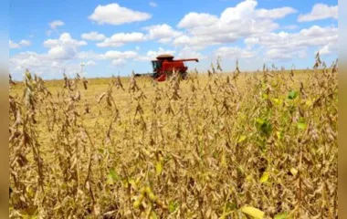 Paraná deverá produzir 40 milhões de toneladas de grãos
