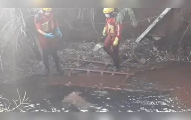 Homem é encontrado morto em riacho de Londrina