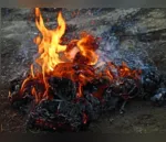 Vizinho ateia fogo em mato no quintal e PM de Apucarana é chamada