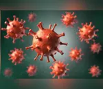 Idoso de 72 anos é 49º óbito de coronavírus de Apucarana