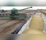 Conab prevê produção recorde de grãos na safra 2020/21