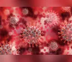 Mutação do novo coronavírus se espalha com facilidade, mas é menos perigosa