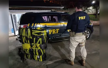 PRF encontra 159 kg de maconha em fundo falso de caminhão