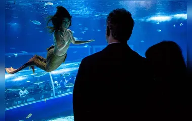 A Força do Querer: Eugênio flagra Ritinha nadando em aquário