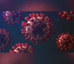Rolândia monitora caso suspeito de nova variante do coronavírus