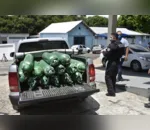 Polícia apreende cilindros na White Martins e entrega em hospital de Manaus