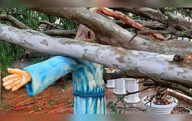 Imagem de Jesus resiste à queda de árvore após temporal no Paraná