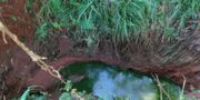 Poluição ameaça abastecimento de água em Apucarana