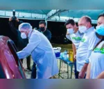 Corujão: Paraná começa a vacinar população durante à noite