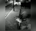Ladrão ousado pula portão e furta cadeiras; vídeo