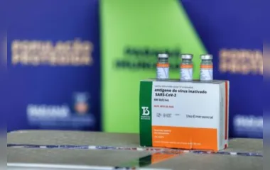 368 mil doses de vacinas contra a Covid-19 chegam ao Paraná