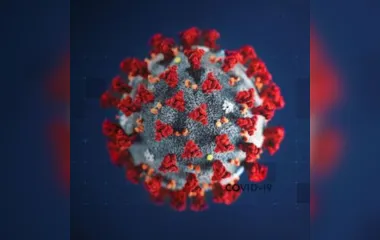 Brasil registra 100 mil casos de coronavírus por dia